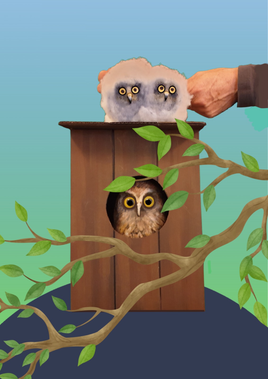Two fluffy baby owl (ruru) puppets peeking over a wooden nesting box, with a third owl looking out through its round hole